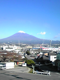 081120_0934~02.JPG