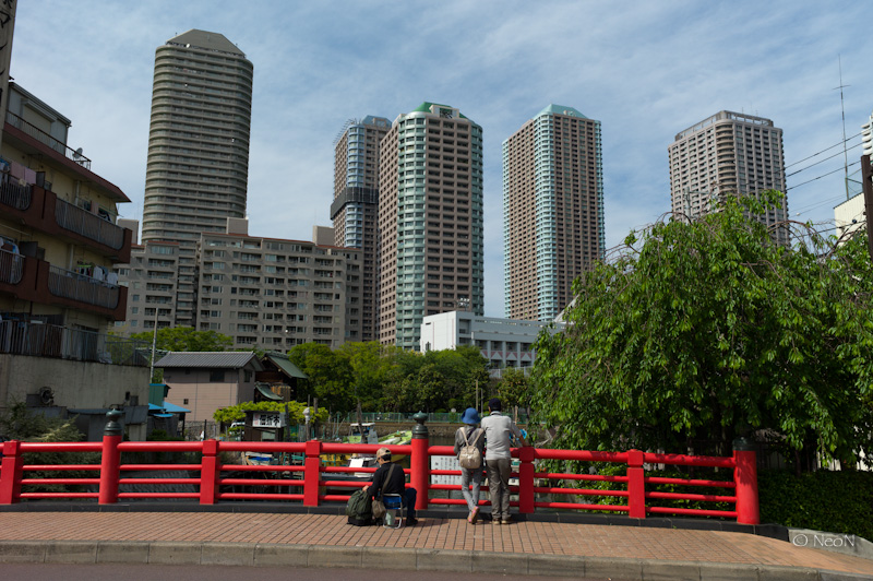 L1002220.jpg