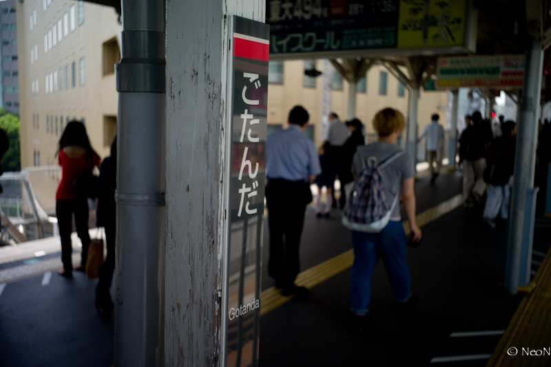 L1002461.jpg