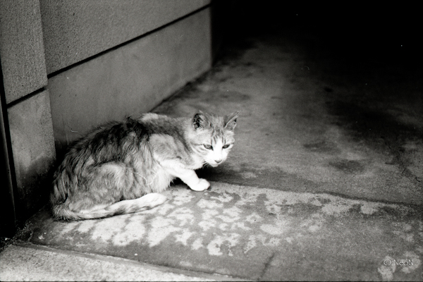 TMAX100_030.jpg