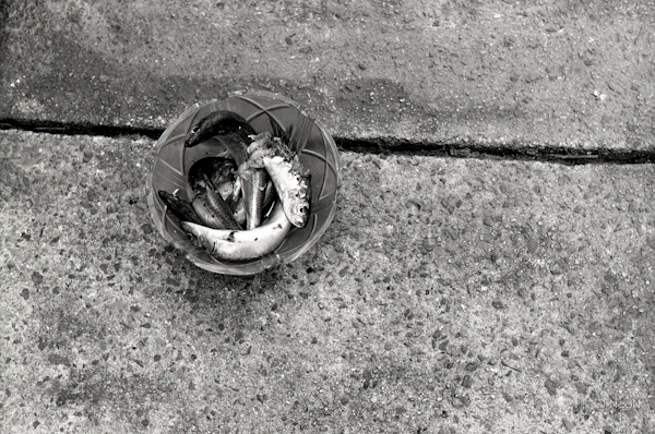 TMAX100_036.jpg