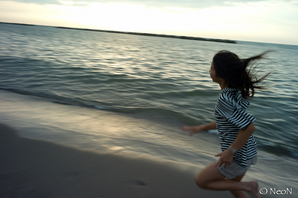 L1003851.jpg