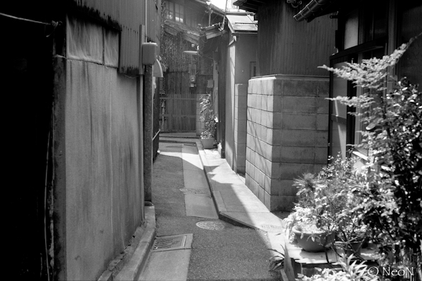 TMAX100_008.jpg
