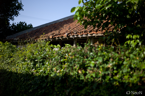 L1008435.jpg