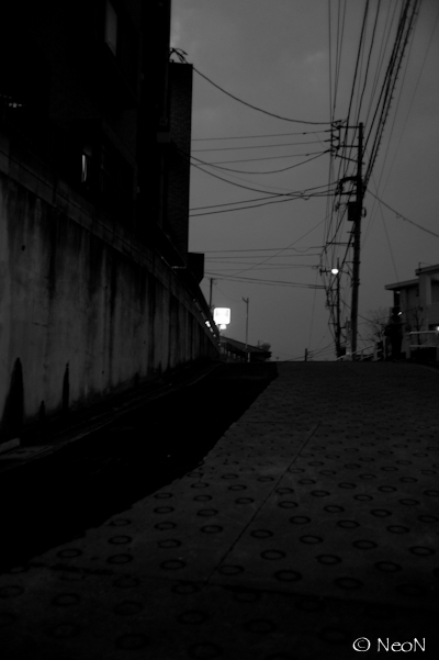 L1009154.jpg