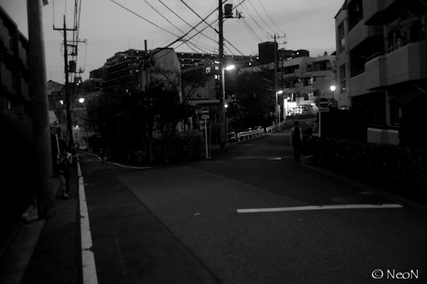 L1009150.jpg