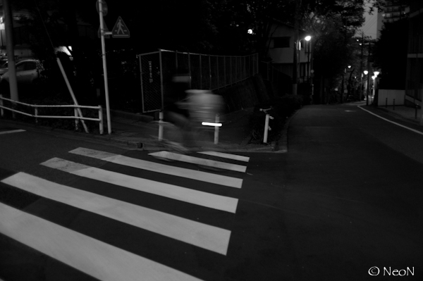 L1009144.jpg