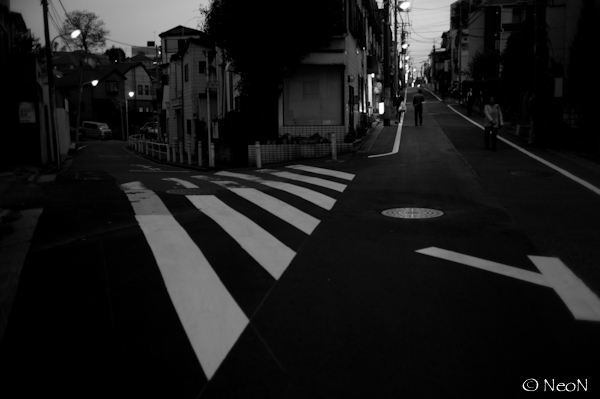 L1009140.jpg