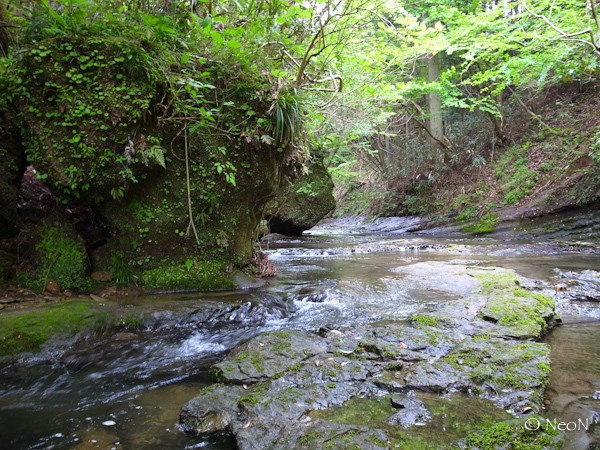 R4212024.jpg