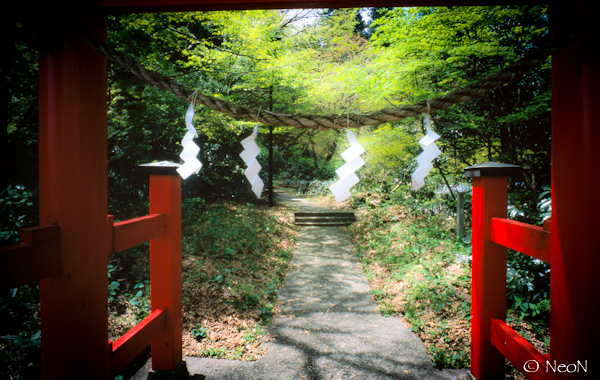 RDP?_20120504017.jpg