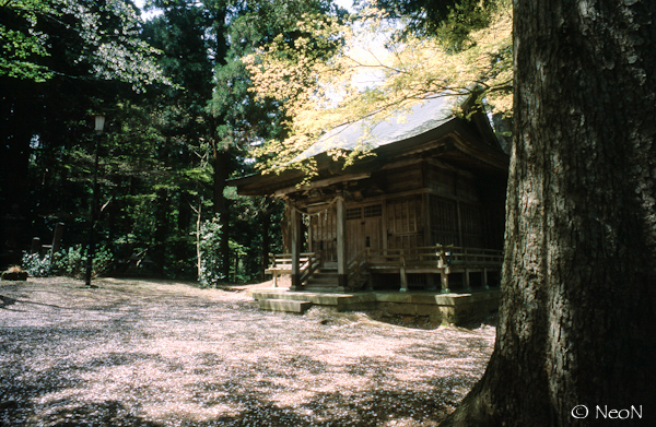RDP?_20120504007.jpg