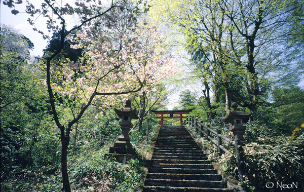 SINBI100_033.jpg