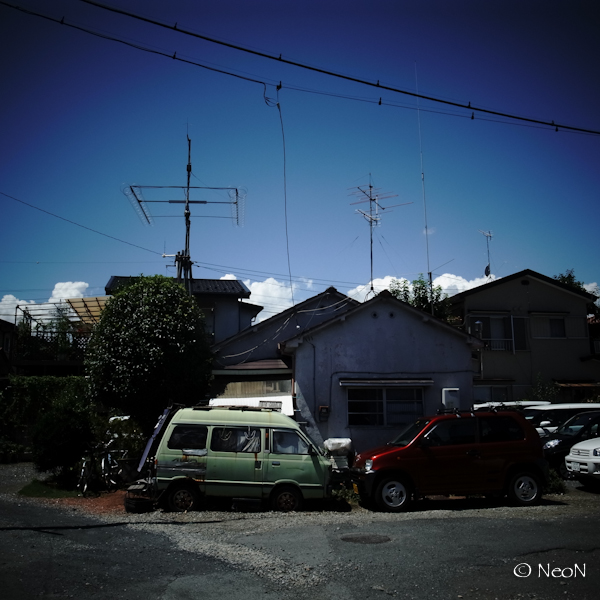 R4212380.jpg