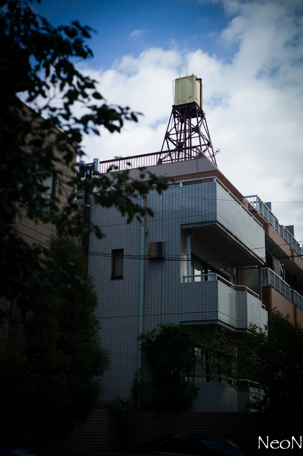 L1022549.jpg