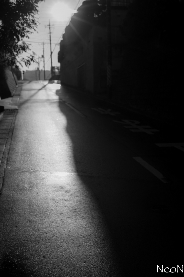 L1023222.jpg