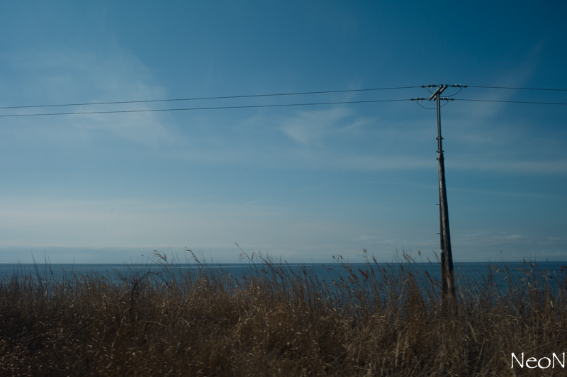 L1023815.jpg