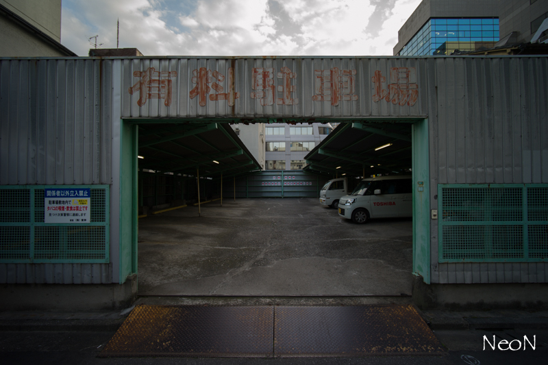 L1024580.jpg