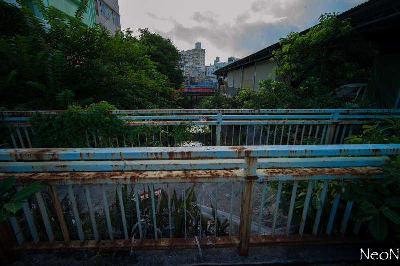 L1026564.jpg