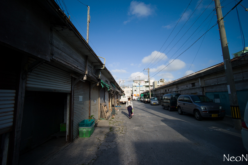 L1026528.jpg