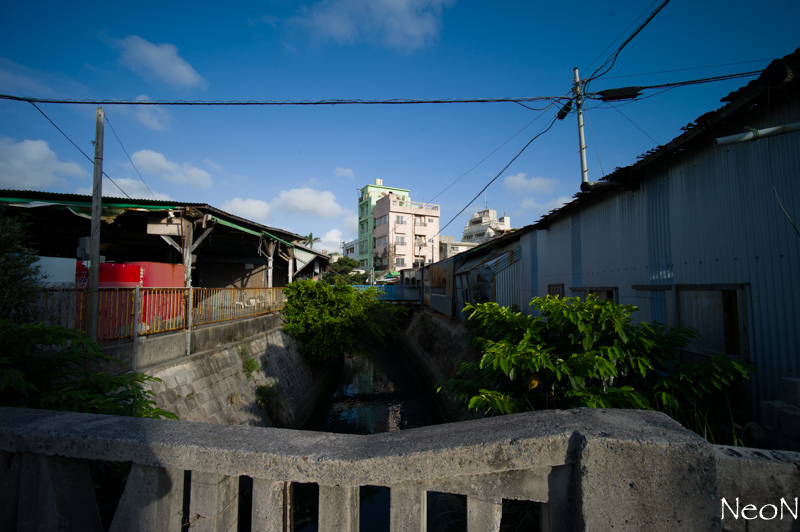 L1026522.jpg