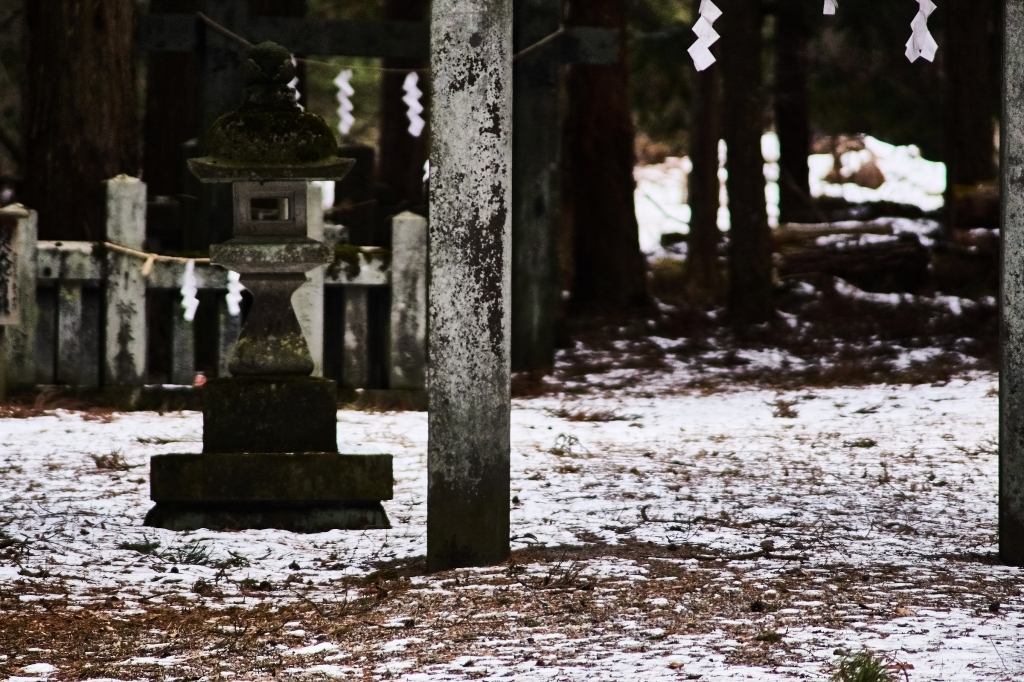 MINOLTA MD 300mm f4.5（SRマウント）をα7Rで使う | 僕のfoveon