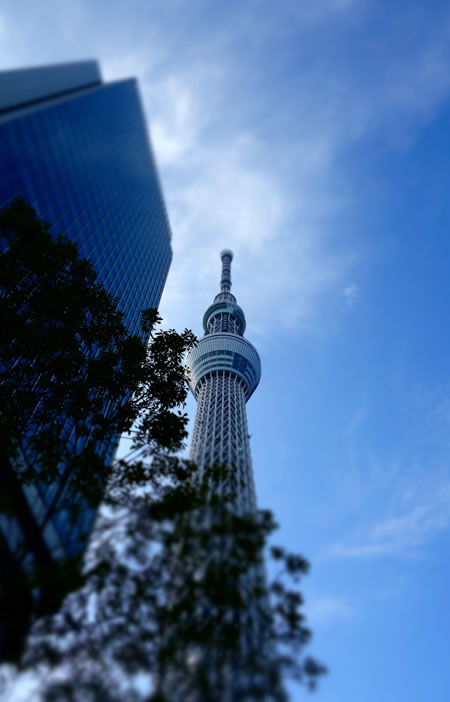 スカイツリー