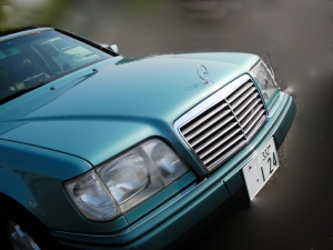 W1242