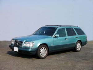 W1243