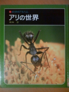 ¥¢¥ê¤ÎÀ¤³¦