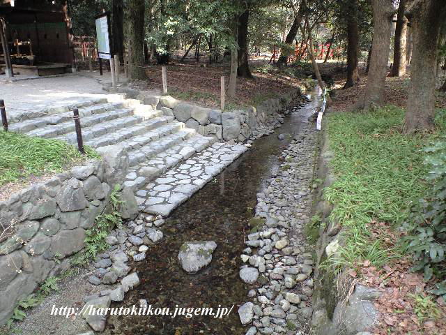 奈良の小川