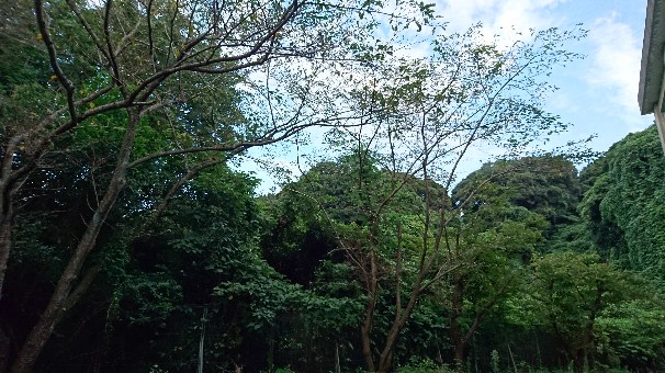 DSC_7321.JPG