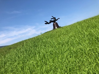 image1.jpeg