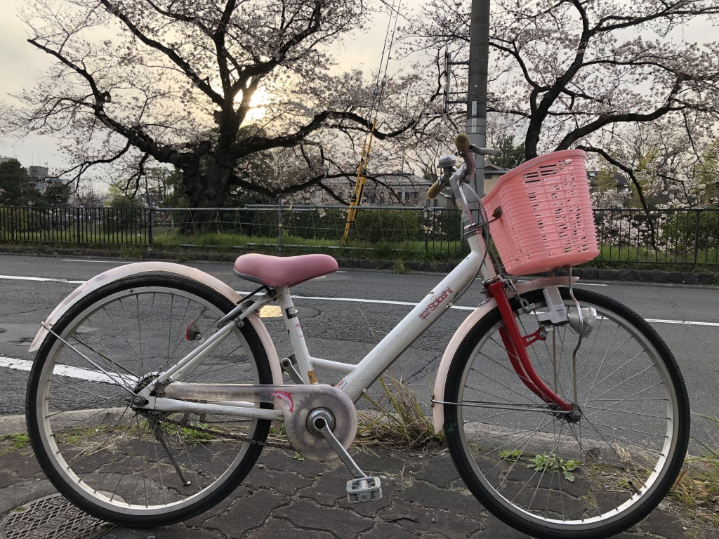 えむじか出町柳オールスター名鑑 Vol.8【さくらんぼ】～お子様用自転車 