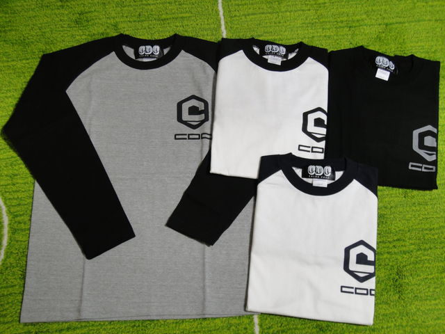 CDC201401-1.jpg