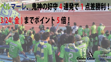 ¾¡Íø¥Ý¥Ã¥×1ÅÀº¹2017-2.jpg