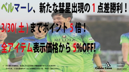 ¾¡Íø¥Ý¥Ã¥×1ÅÀº¹2019-1.jpg