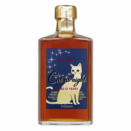 CAT AT NIGHT