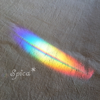 虹色の羽根がここに。。 | Spicaの森へようこそ♪