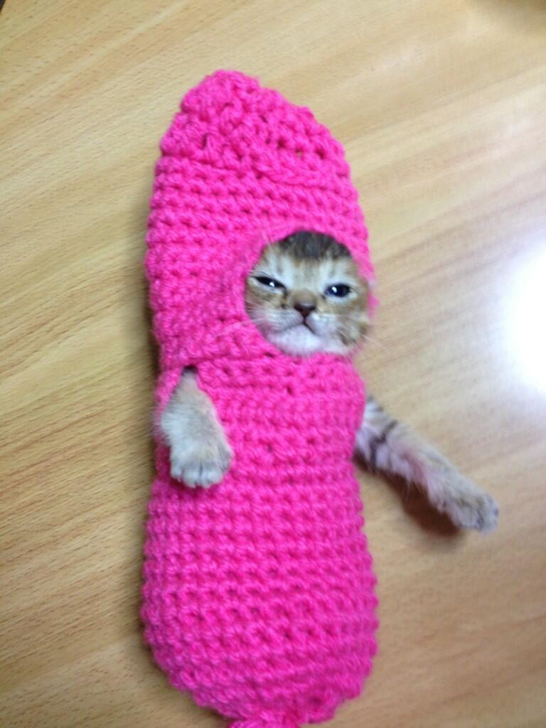 たらこわさびちゃん.jpg