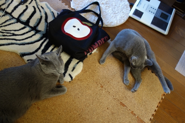 DSC01140.JPG