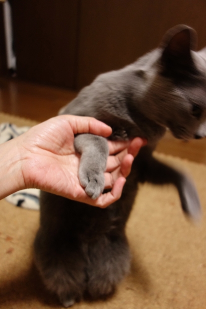 DSC01144.jpg