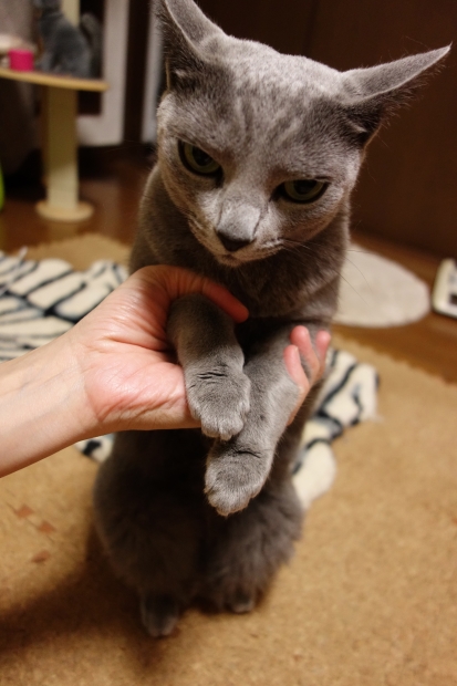 DSC01145.jpg