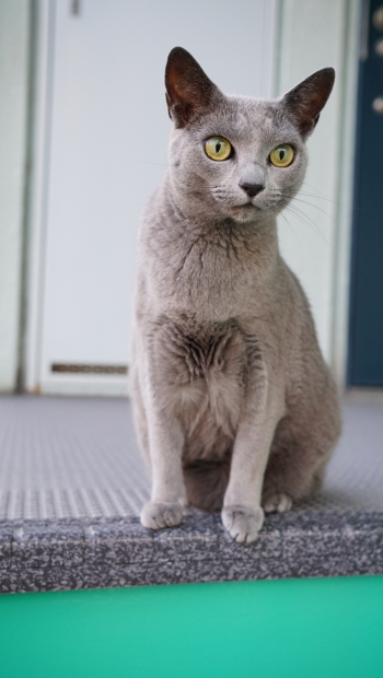 DSC01463.jpg