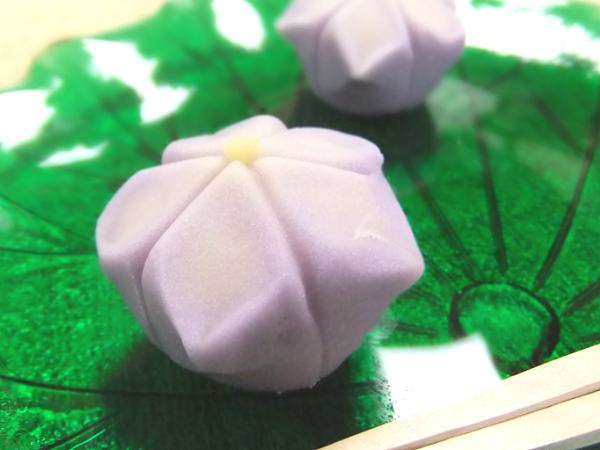 ききょう