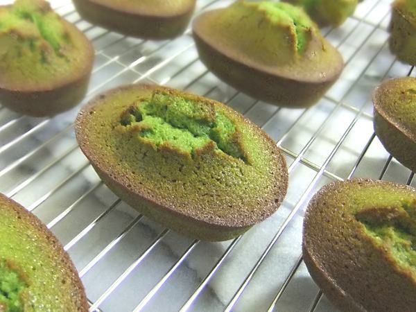 抹茶フィナンシェ