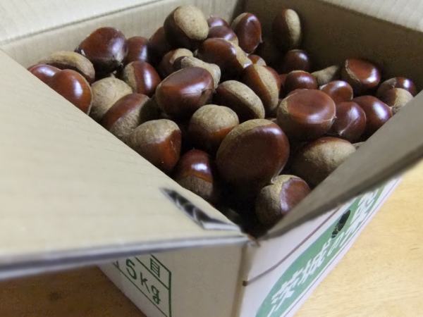 和栗