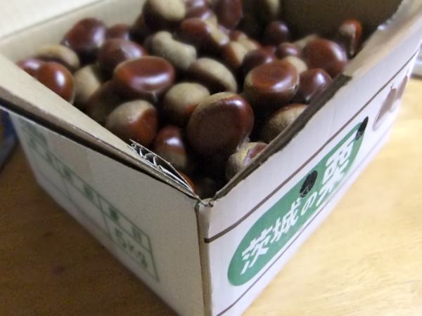 和栗