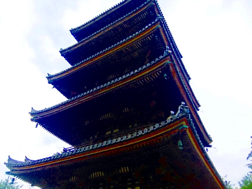 御室桜