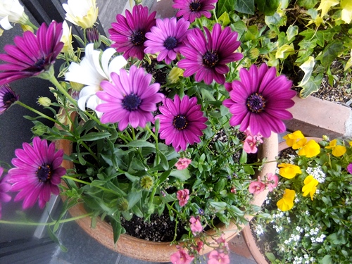 花
