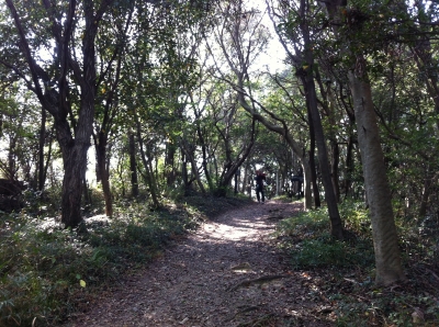 「龍の口グリーンシャワー公園」岸本桂生子